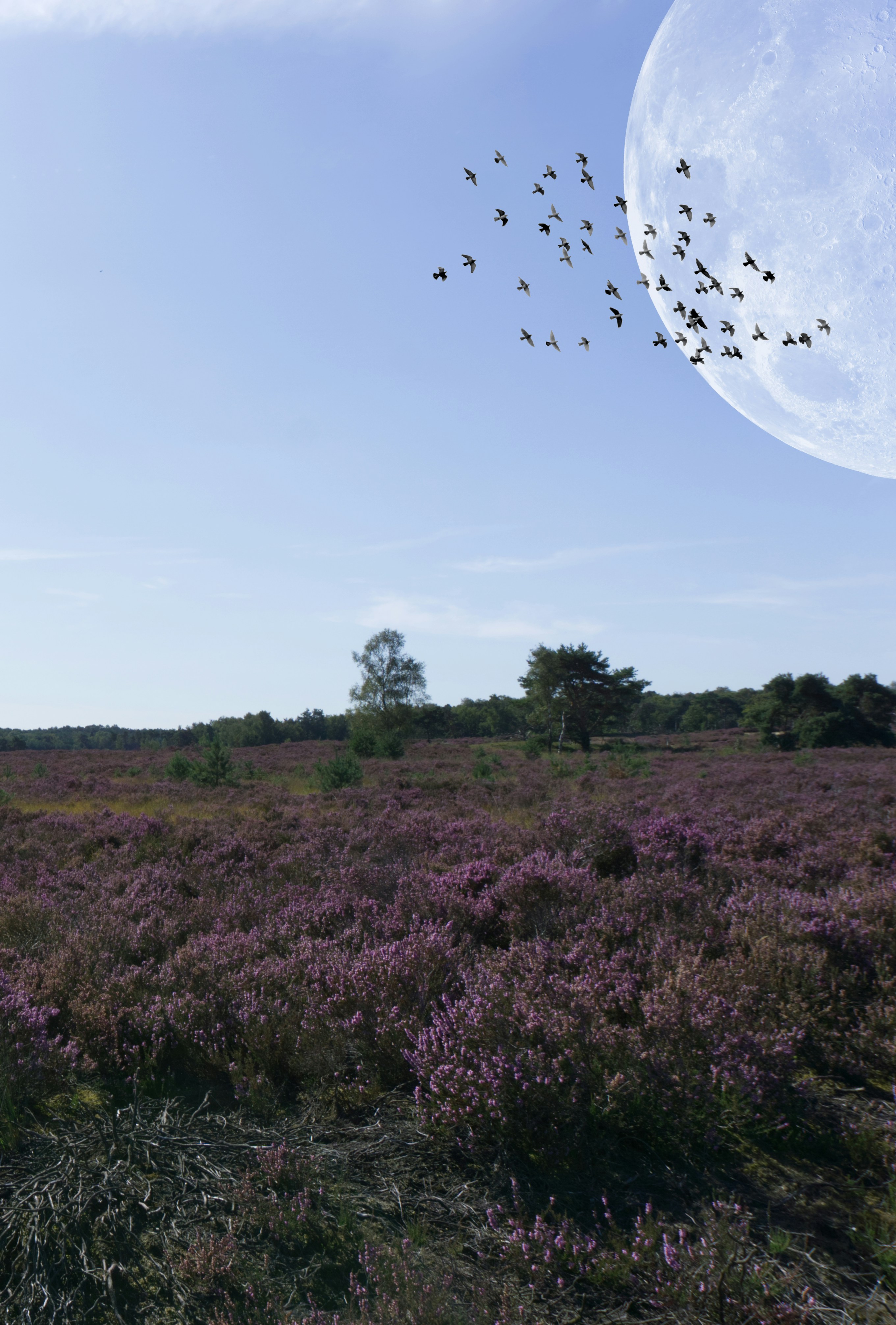 creating meaningful connections